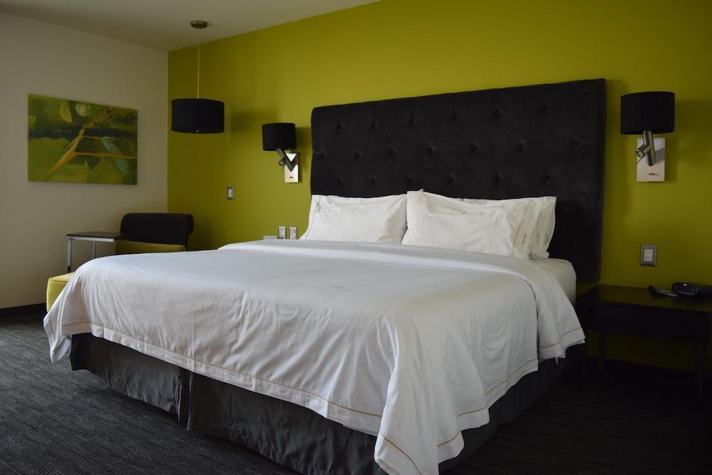 Holiday Inn Express Toluca Galerias Metepec By Ihg Екстер'єр фото